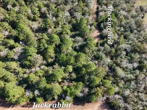 View/Area - 28802 Jackrabbit Dr, Hempstead, TX 77445 photo 4 of 7