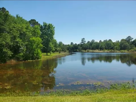 View/Area - 28802 Jackrabbit Dr, Hempstead, TX 77445 photo 5 of 7