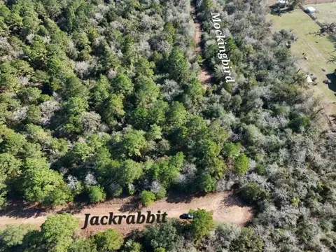 View/Area - 28802 Jackrabbit Dr, Hempstead, TX 77445 photo 3 of 7