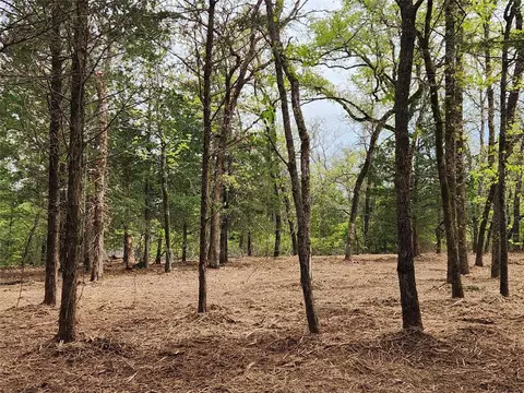 0 County Road 4710 #LOT 465, Larue, TX 75770