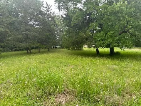 516 Falcon Dr, Trinity, TX 75862