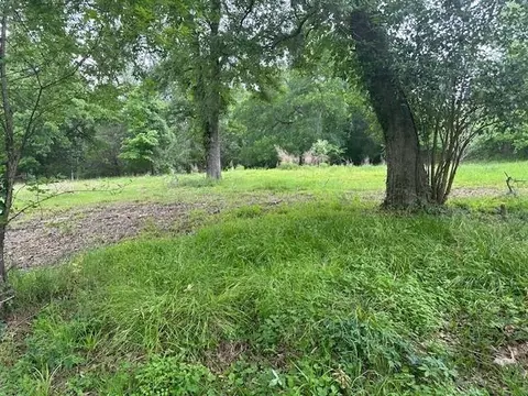 516 Falcon Dr, Trinity, TX 75862 photo 6