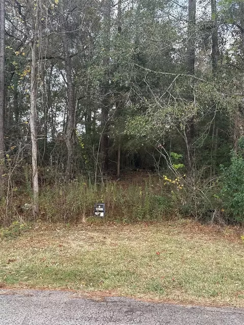 tbd County Road 427, Dayton, TX 77535