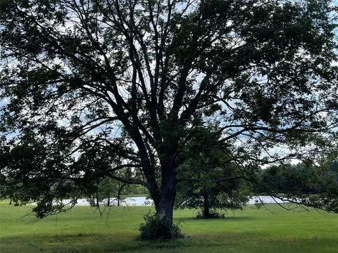 10891 Ruger Rd, Willis, TX 77378 photo 13