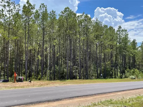 10891 Ruger Rd, Willis, TX 77378 photo 7