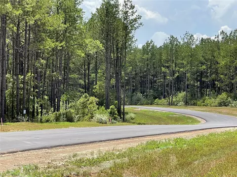 10891 Ruger Rd, Willis, TX 77378 photo 6
