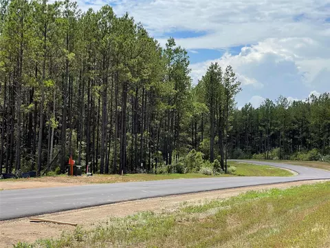 10891 Ruger Rd, Willis, TX 77378 photo 5