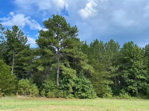 10891 Ruger Rd, Willis, TX 77378 photo 15