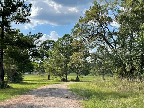 10891 Ruger Rd, Willis, TX 77378 photo 11