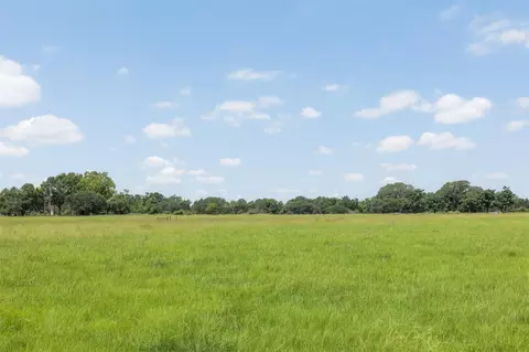 tbd Johnston Rd, Wallis, TX 77485 photo 19