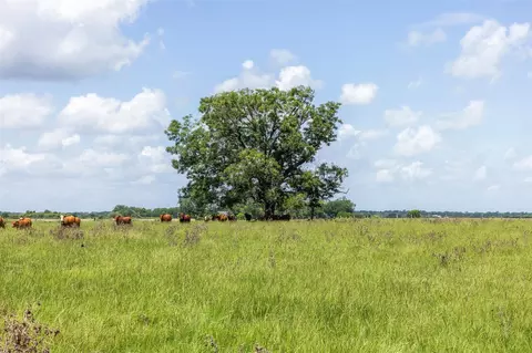 tbd Johnston Rd, Wallis, TX 77485 photo 24