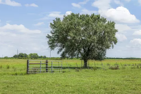 tbd Johnston Rd, Wallis, TX 77485 photo 11