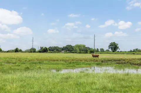 tbd Johnston Rd, Wallis, TX 77485 photo 21