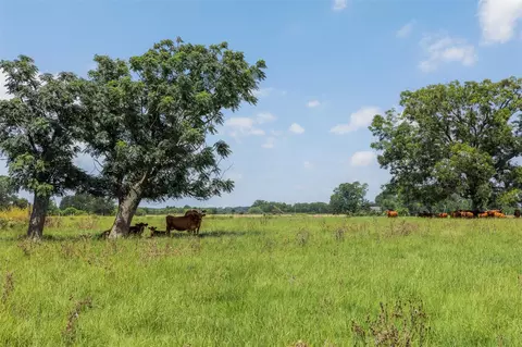 tbd Johnston Rd, Wallis, TX 77485 photo 23