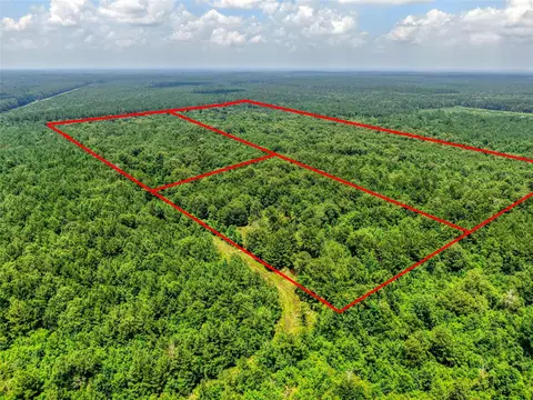 0 Pelican Rd, Shepherd, TX 77371