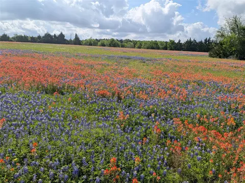 0031 Fm 2562 And Cr 218 Rd, Anderson, TX 77830