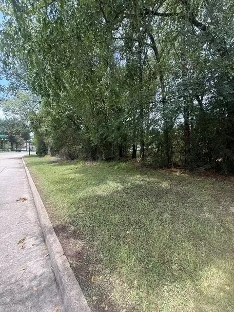 12902 Walden Rd, Montgomery, TX 77356