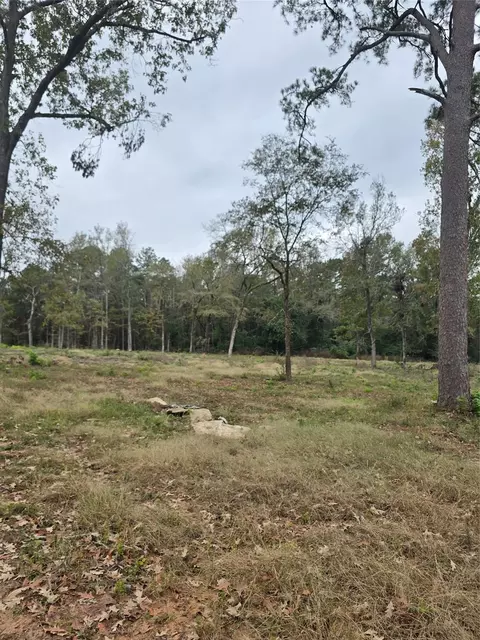 1006 S Houston Ave, Livingston, TX 77351