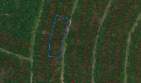 0 Wood Frst, Livingston, TX 77351