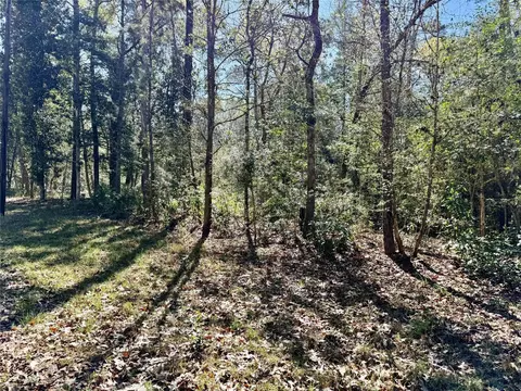 tbd Churton Rd, Livingston, TX 77351