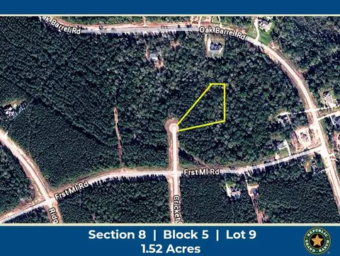 15660 Cricket Creek Ct, Willis, TX 77378