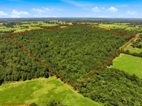 118 25 Acres Cr 278c, Anderson, TX 77830