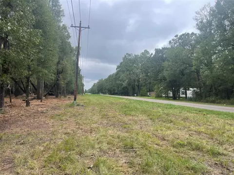 Tract C Mangum Road, West Livingston, TX 77351
