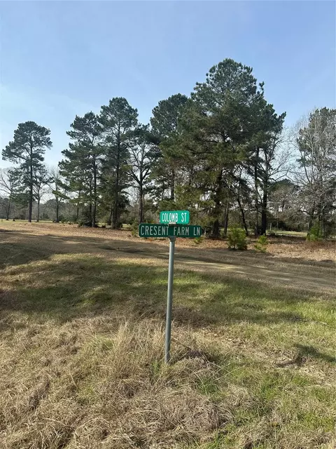 lot25 Colomb St, Trinity, TX 75862 photo 3
