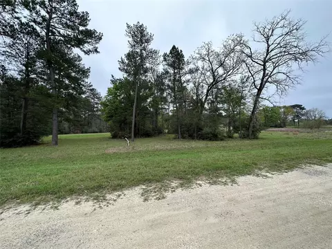 lot25 Colomb St, Trinity, TX 75862 photo 6