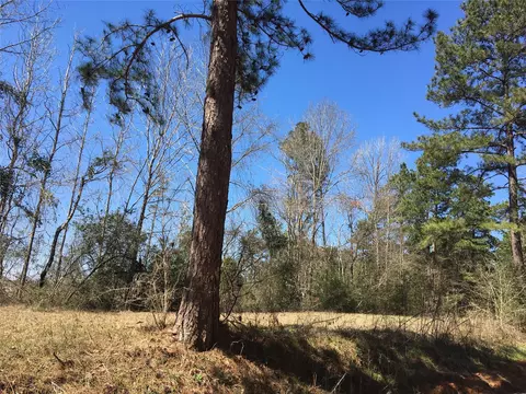 lot13 County Road 175, Garrison, TX 75946 photo 5