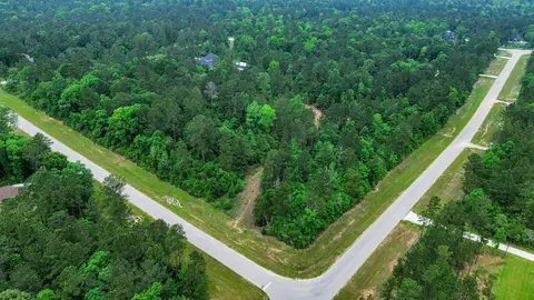 10517 Single Shot Ln, Willis, TX 77378