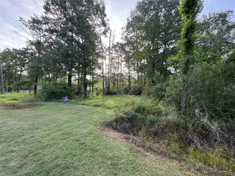 tbd Antilles Dr, Point Blank, TX 77364 photo 5