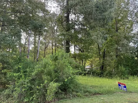 tbd Antilles Dr, Point Blank, TX 77364 photo 3