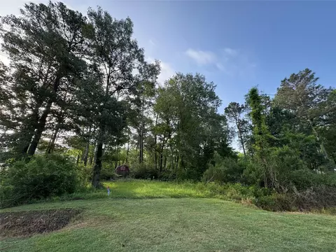 tbd Antilles Dr, Point Blank, TX 77364 photo 4