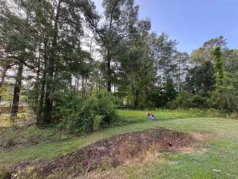 tbd Antilles Dr, Point Blank, TX 77364 photo 6