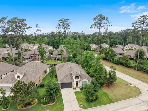 View/Area - 204 Bee Balm Ct, Conroe, TX 77304 photo 2 of 7