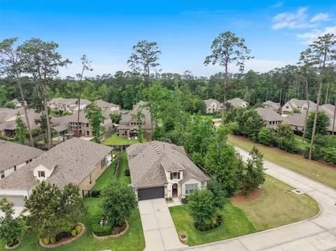 View/Area - 204 Bee Balm Ct, Conroe, TX 77304 photo 5 of 7