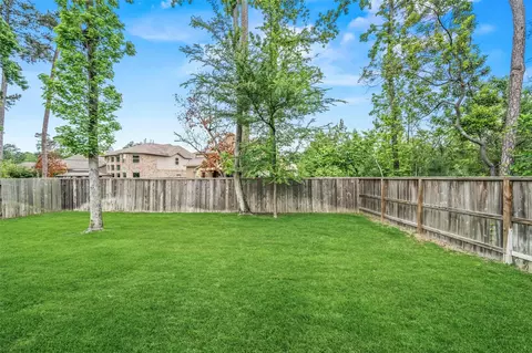Other - 204 Bee Balm Ct, Conroe, TX 77304 photo 6 of 8