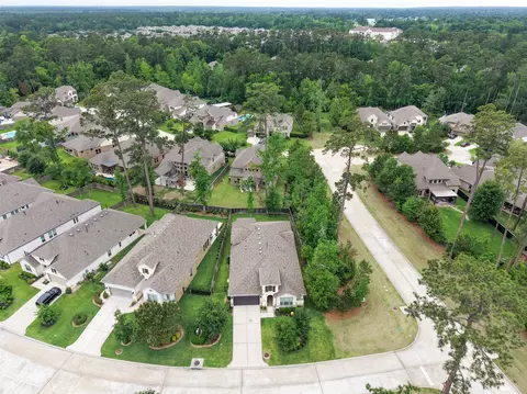 View/Area - 204 Bee Balm Ct, Conroe, TX 77304 photo 3 of 7