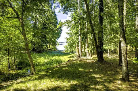 tbd Pine Cir, Trinity, TX 75862 photo 12