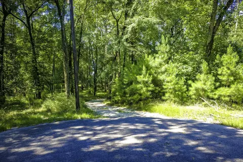 tbd Pine Cir, Trinity, TX 75862 photo 6