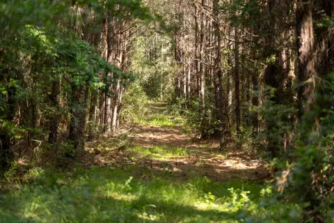 tbd Fm 705, Broaddus, TX 75929