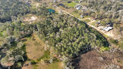 View/Area - 16915 Payne Rd, Conroe, TX 77302 photo 13 of 17