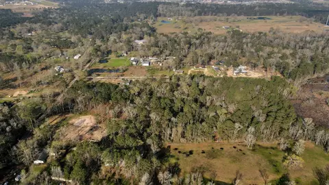 View/Area - 16915 Payne Rd, Conroe, TX 77302 photo 6 of 17