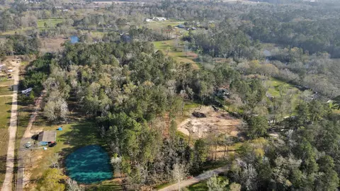 View/Area - 16915 Payne Rd, Conroe, TX 77302 photo 4 of 17