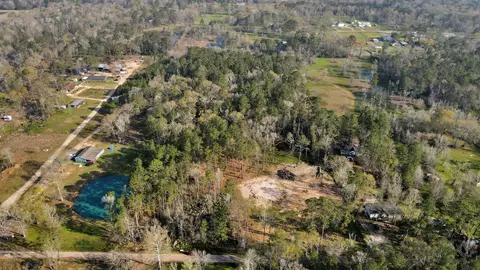 View/Area - 16915 Payne Rd, Conroe, TX 77302 photo 9 of 17