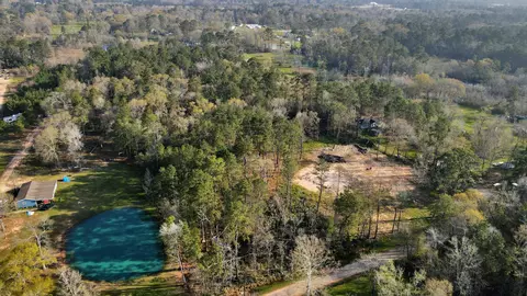 View/Area - 16915 Payne Rd, Conroe, TX 77302 photo 7 of 17