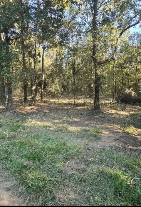 0 Tbd Hwy 150 W, Coldspring, TX 77331