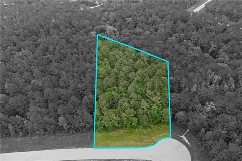 21-29 11 Diamond Ln, Huntsville, TX 77340