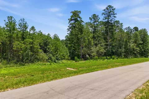 16222 Ridge Oak Rd, Willis, TX 77378 photo 29